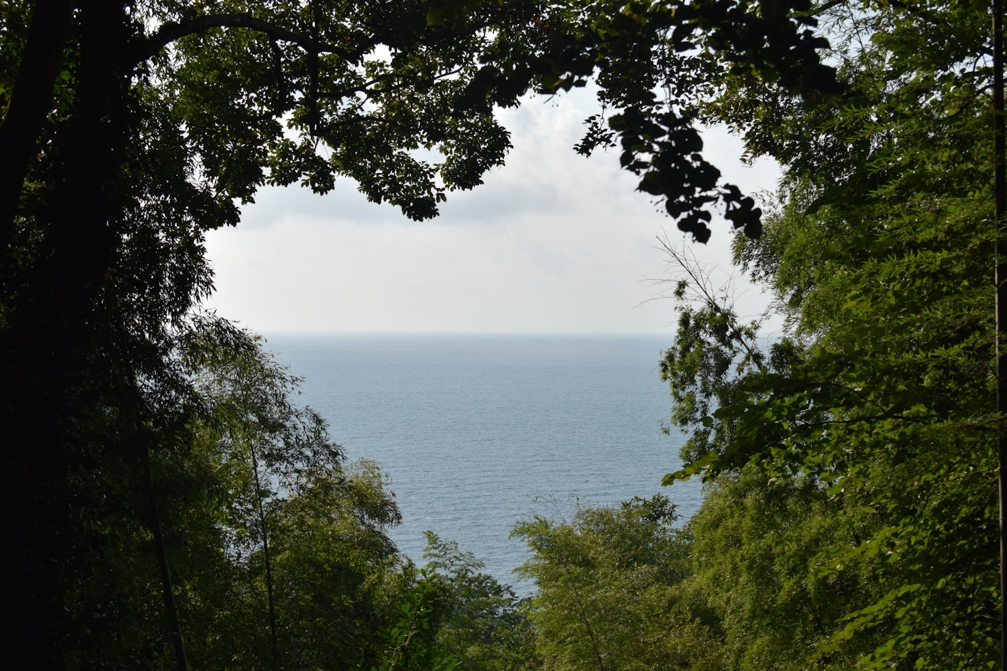 A conexão entre a natureza e as mudanças em Itacoatiara